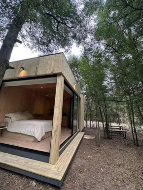 Tiny house en pleno bosque a metros de la laguna